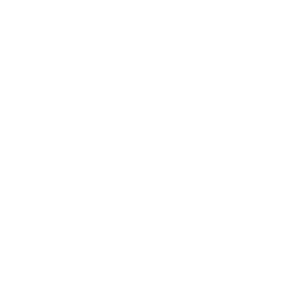 Import Solutions